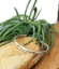 Personalized sterling silver forged graduation cuff