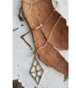 crystal chain. brass bars, Diamond paw print necklace on wood