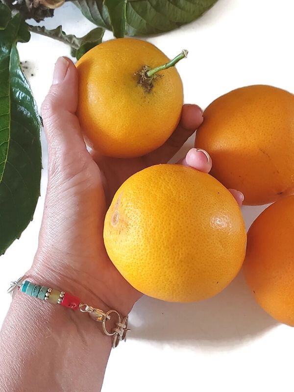 colorful gemstone bracelet and fresh oranges