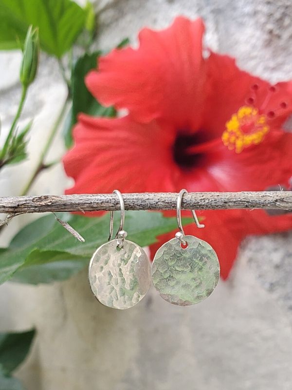 silver disc earrings hanging in the garden