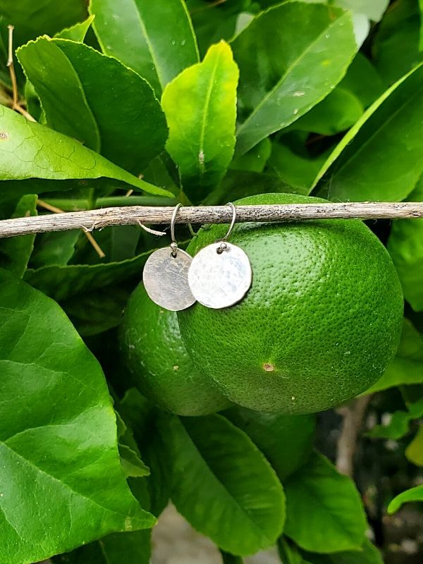 silver disc earrings in a key lime tree
